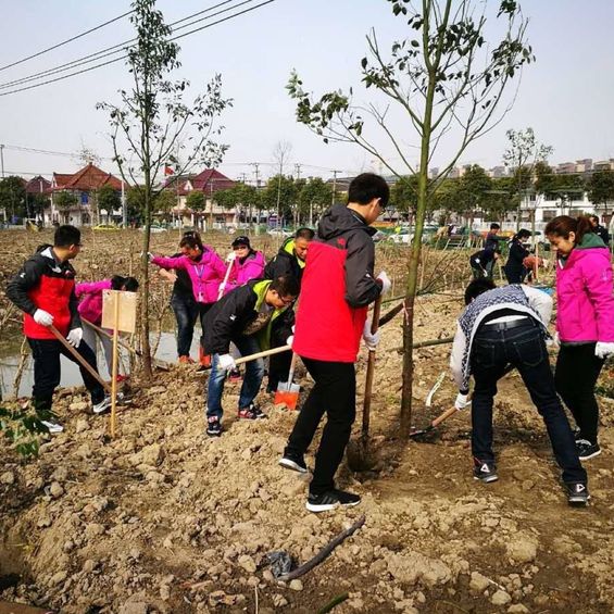 Jsj Impact China Trees 01